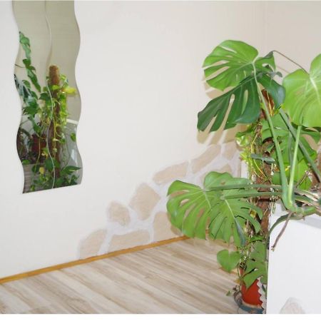 L'Appartement 90M2 Climatise アヴィニョン エクステリア 写真