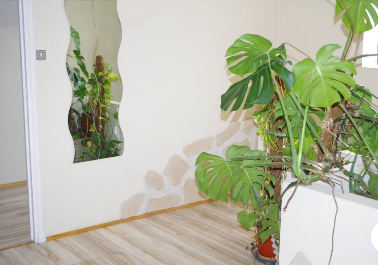 L'Appartement 90M2 Climatise アヴィニョン エクステリア 写真