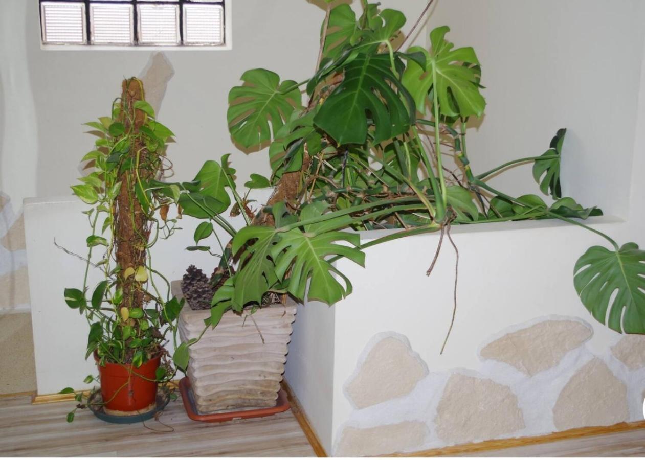 L'Appartement 90M2 Climatise アヴィニョン エクステリア 写真